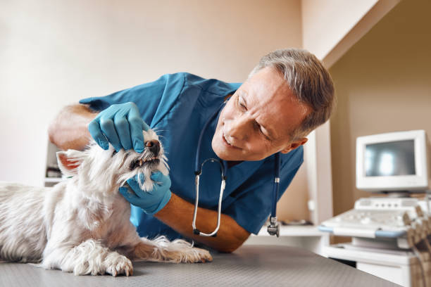 Best After-Hours Dental Trauma Care in Hurstbourne, KY